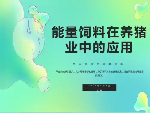 能量饲料在养猪业中的应用