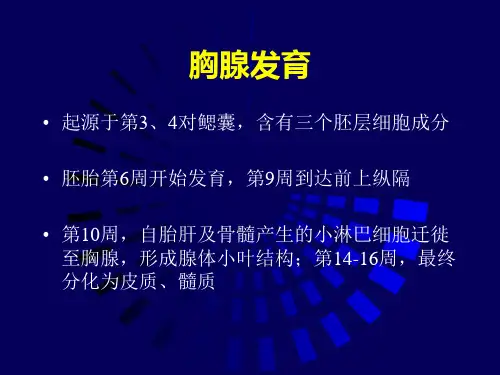 胸腺上皮肿瘤PPT课件