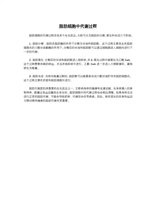 脂肪细胞中代谢过程