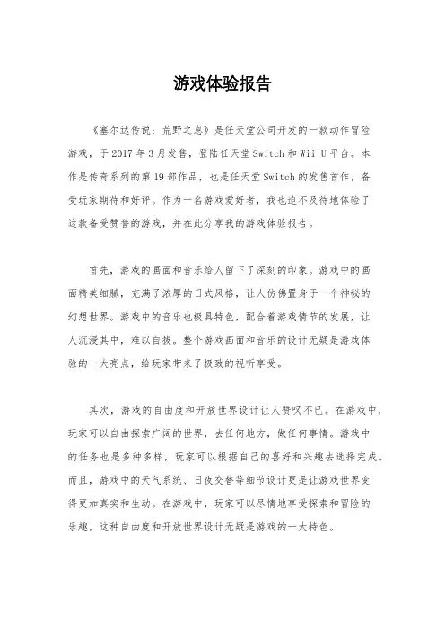 游戏体验报告
