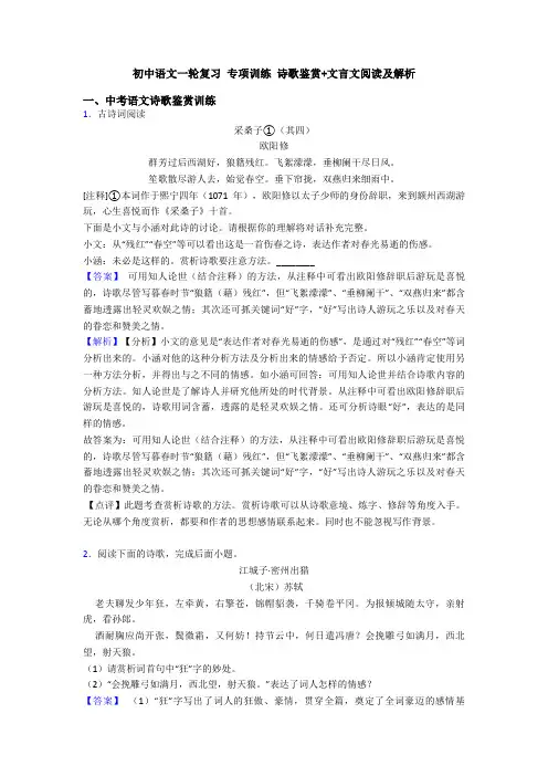 初中语文一轮复习 专项训练 诗歌鉴赏+文言文阅读及解析