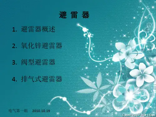 避雷器 PPT