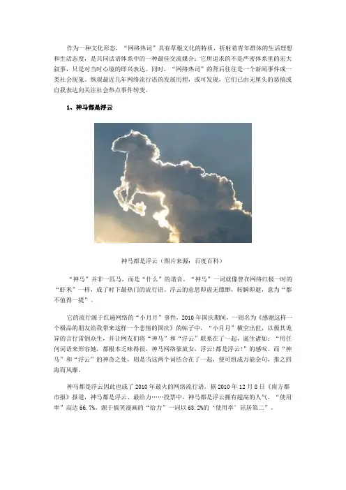 2010网络热词