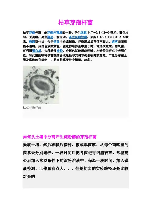 枯草芽孢杆菌