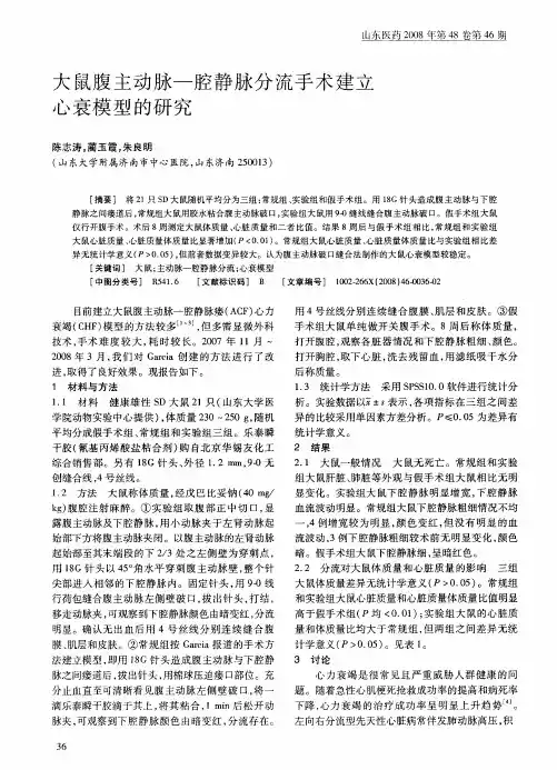 大鼠腹主动脉-腔静脉分流手术建立心衰模型的研究