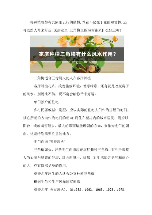 家庭种植三角梅有什么风水作用？