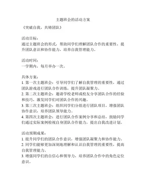主题班会的活动方案