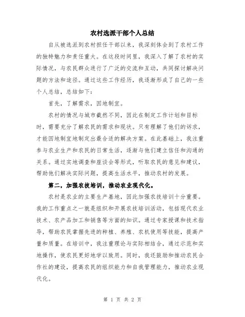 农村选派干部个人总结