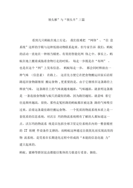 《领头雁》与《领头羊》三篇