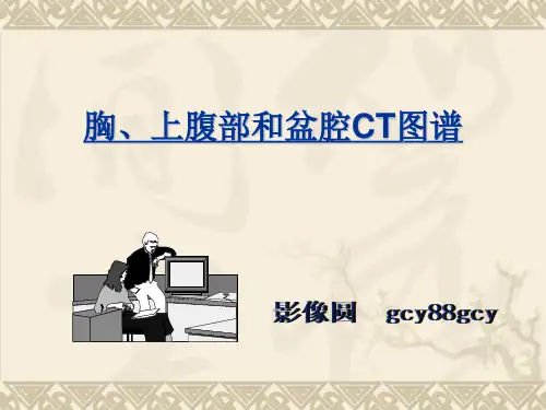 胸、上腹和盆腔CT详细实用图解