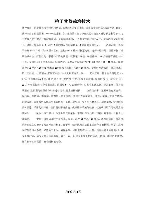 抱子甘蓝栽培技术