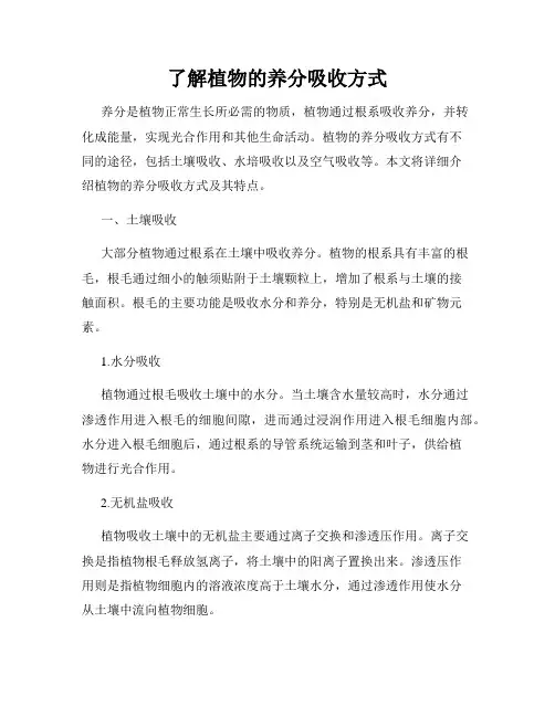 了解植物的养分吸收方式