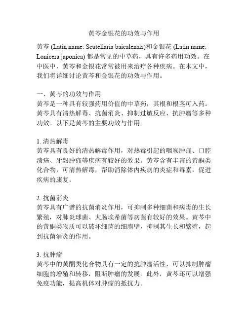 黄芩金银花的功效与作用