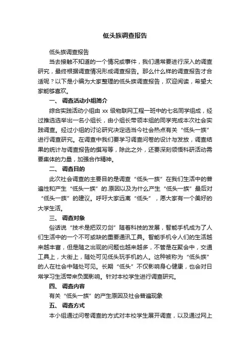 低头族调查报告