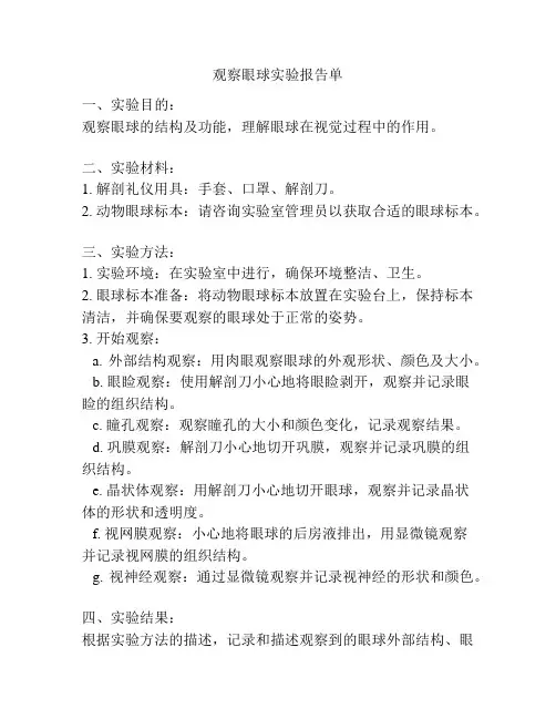 观察眼球实验报告单