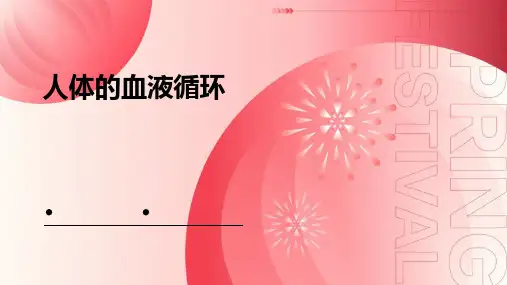 人体的血液循环PPT