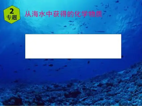 从海水中获得的化学物质PPT课件10 苏教版