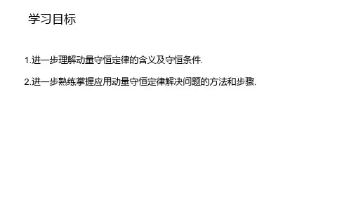 动量守恒定律的应用课件