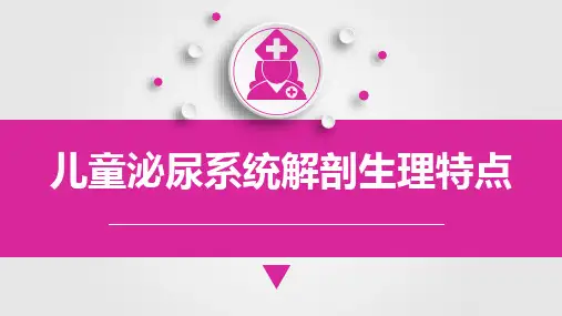 儿童泌尿系统解剖生理特点,儿科护理学课件