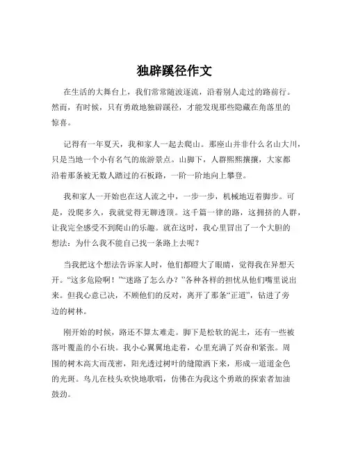 独辟蹊径作文