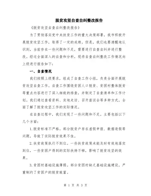 脱贫攻坚自查自纠整改报告
