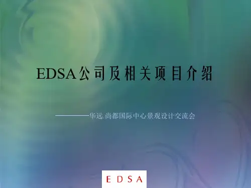 EDSA公司及相关项目介绍