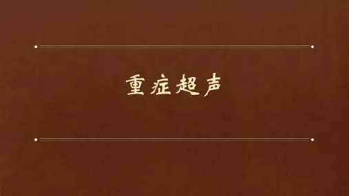 重症超声概述心ppt课件