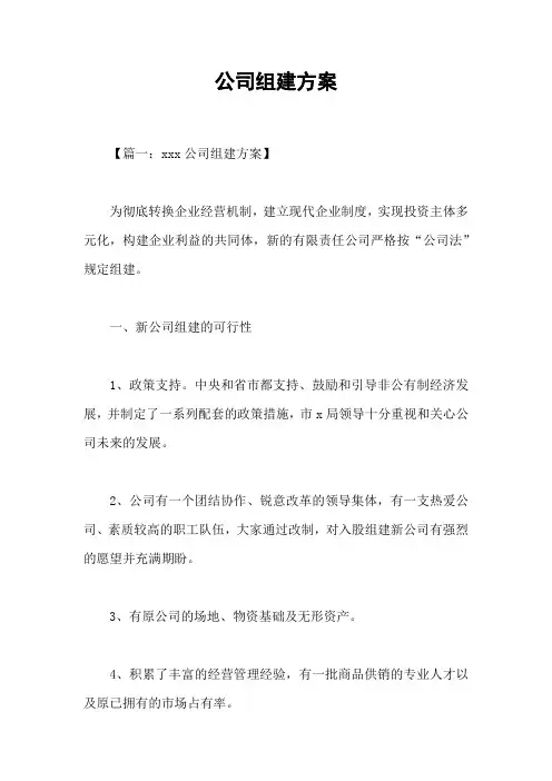 公司组建方案