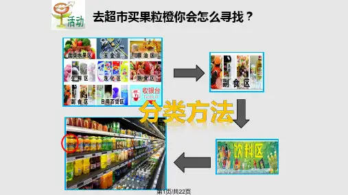 浙教七年级科学上册常见的动物资料PPT课件