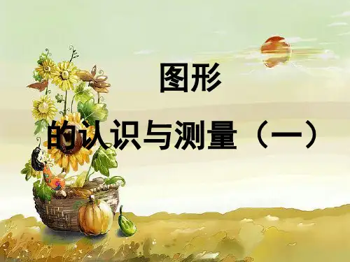 人教版小学数学六年级下册第12册总复习空间与图形：图形的认识与测量(一)