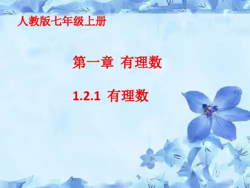 人教版数学七年级上册有理数有理数PPT