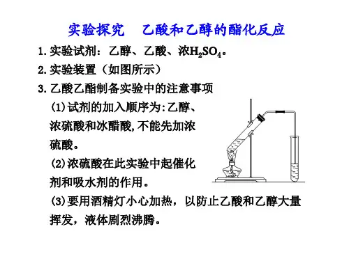 实验探究  乙酸和乙醇的酯化反应