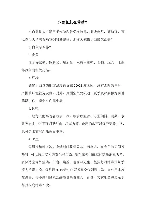 小白鼠怎么养殖？