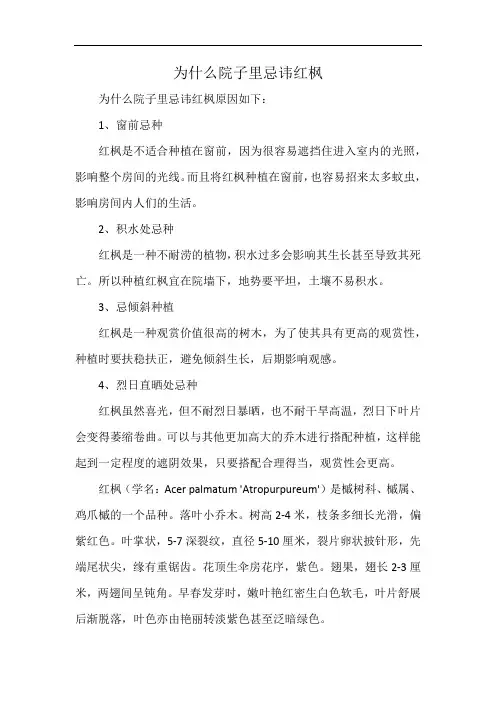 为什么院子里忌讳红枫
