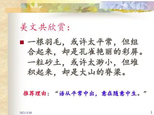 记叙文叙事 ppt课件