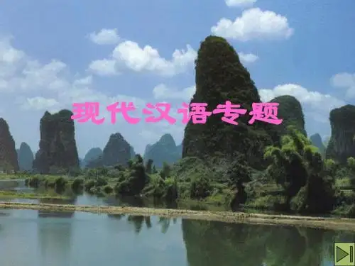 现代汉语专题