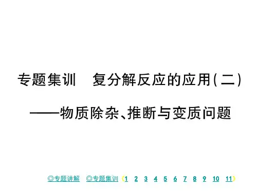 鲁教版九年级化学下册课件：专题集训 复分解反应的应用(二)(共38张PPT)