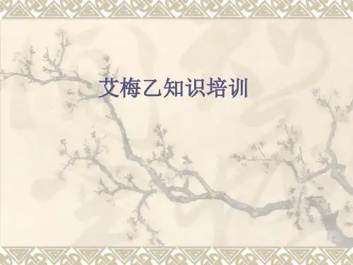 艾梅乙PPT演示课件