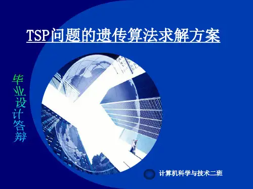 基于遗传算法的组合优化问题研究-毕业设计答辩