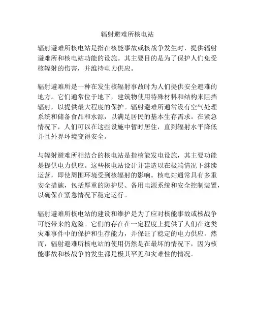辐射避难所核电站