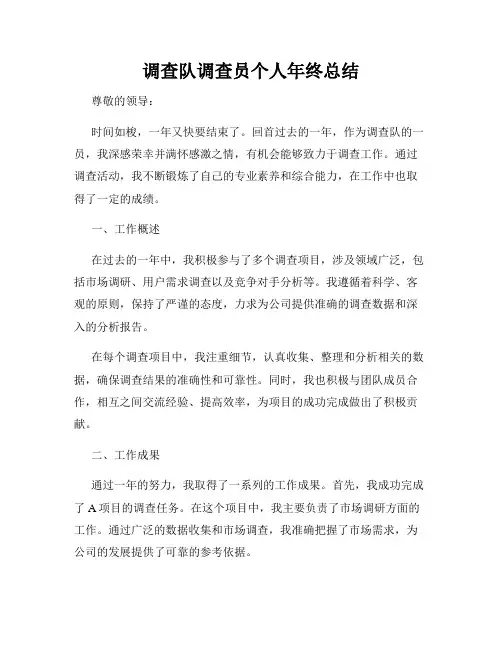 调查队调查员个人年终总结