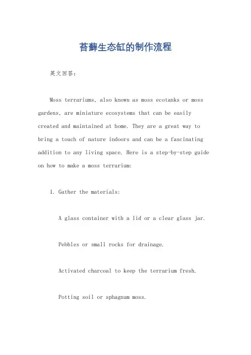苔藓生态缸的制作流程