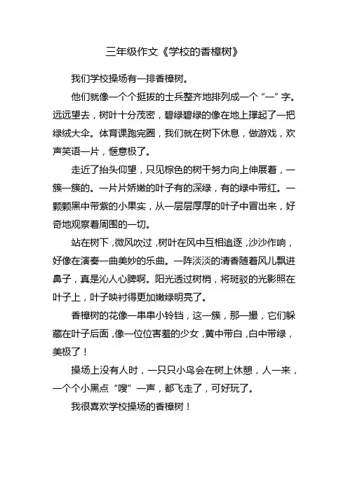 三年级樟树作文五百字
