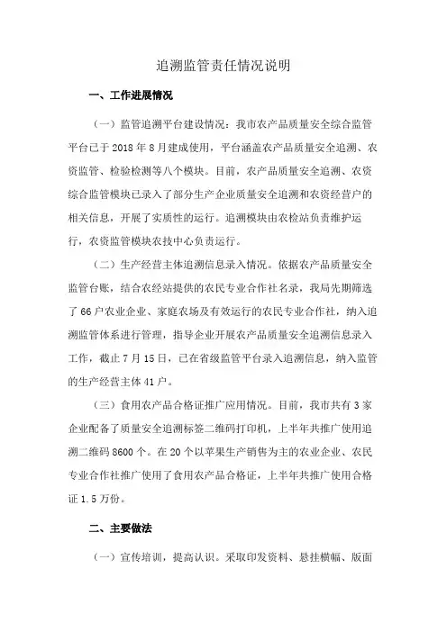 追溯监管责任情况说明