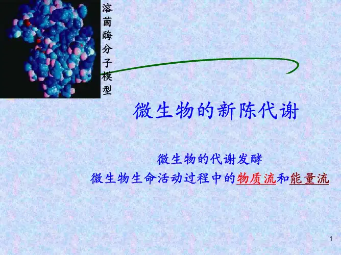 微生物的新陈代谢