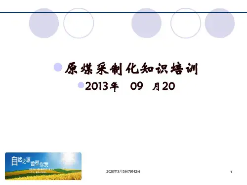 煤炭采制化知识培训 (1)讲解