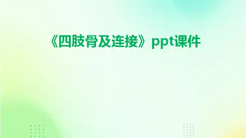 《四肢骨及连接》课件