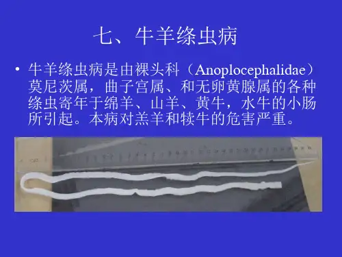 七、莫尼茨绦虫病