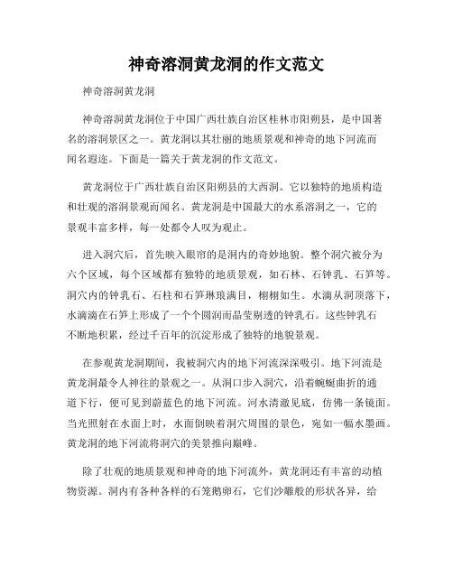 神奇溶洞黄龙洞的作文范文