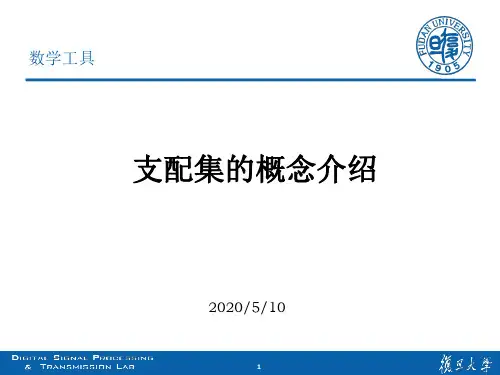 支配集的概念